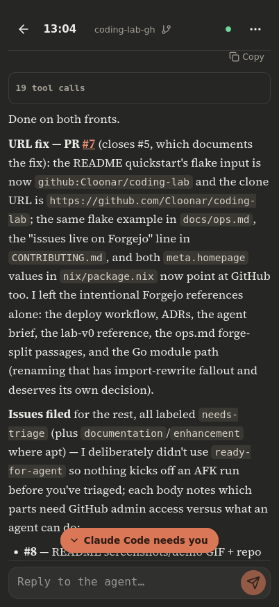 Chat view: the rendered agent conversation with collapsible tool calls and a reply box